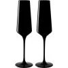 Leonardo Verre à Champagne Etna 280 Ml, 2 Pièce/s, Noir - Verres à Champagne