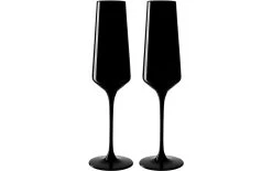 Leonardo Verre à Champagne Etna 280 Ml, 2 Pièce/s, Noir - Verres à Champagne