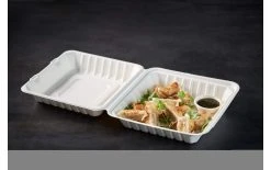 BioPak Boîte Repas 3-division 590 Ml, 50 Pièce/s - Vaisselle Jetable -Paderno Shop unnamed file 1396