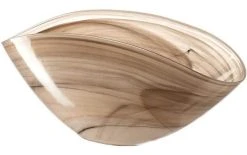 Leonardo Coupe Albastro 28 Cm, 1 Pièce/s, Beige - Bol