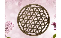 Aepll Consulting Dessous De Verre Fleur De Vie 2 Pièces, Noix - Sous-verre 4 Aepll Consulting Dessous De Verre Fleur De Vie 2 Pièces, Noix - Sous-verre -Paderno Shop unnamed file 163