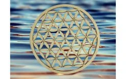 Aepll Consulting Dessous De Verre Fleur De Vie 2 Pièces, Bois D'érable - Sous-verre 4 Aepll Consulting Dessous De Verre Fleur De Vie 2 Pièces, Bois D'érable - Sous-verre -Paderno Shop unnamed file 166