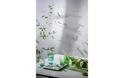 Leonardo Verre Optic 215 Ml, 6 Pièce/s, Multicolore - Verres à Boire -Paderno Shop unnamed file 1782