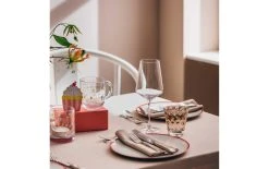 Leonardo Tasse Universelle Emozione – Félicitations 400 Ml, 1 Pièce/s - Tasse -Paderno Shop unnamed file 211