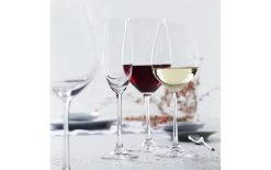 Spiegelau Verre à Vin Blanc Salute 460 Ml, 4 Pièce/s, Transparent - Verres à Vin -Paderno Shop unnamed file 2382