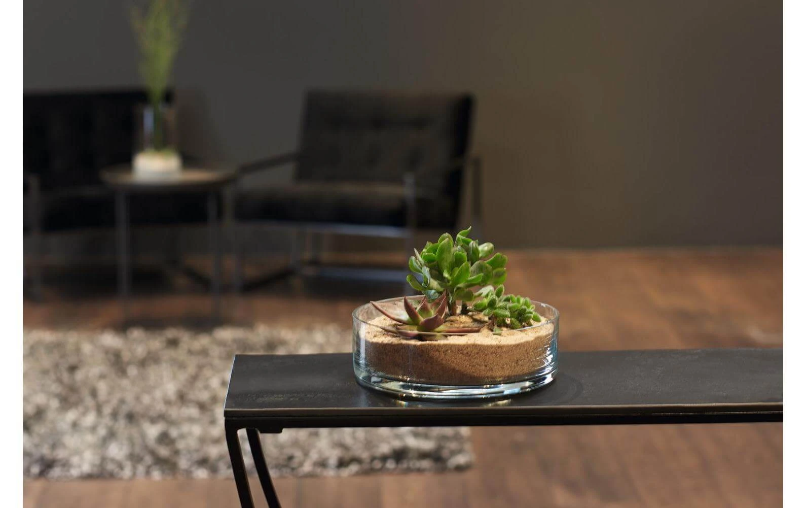 Coupe Novara 22.4 cm, 2 Pièce/s, Transparent - Bol Leonardo Coupe Novara 22.4 Cm, 2 Pièce/s, Transparent - Bol -Paderno Shop unnamed file 2408