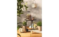 Leonardo Distributeur à Boissons Garda 5 L - Distributeur De Nourriture 7 Leonardo Distributeur à Boissons Garda 5 L - Distributeur De Nourriture -Paderno Shop unnamed file 2430