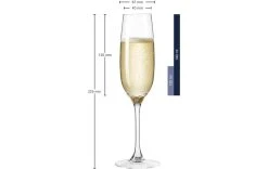 Leonardo Verre à Champagne Ciao 190 Ml, 6 Pièce/s, Transparent - Verres à Champagne -Paderno Shop unnamed file 2673