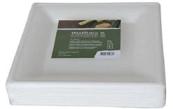 Weita Assiettes Jetables Grand Site 50 Pièce/s - Vaisselle Jetable