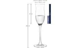 Leonardo Verre à Grappa Cheers 90 Ml, 6 Pièce/s, Transparent - Verres à Schnaps Et à Liqueur -Paderno Shop unnamed file 3119
