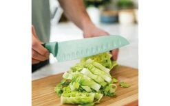 BergHOFF Couteau Santoku Leo Vert - Couteau De Cuisine -Paderno Shop unnamed file 317