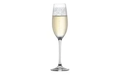 Leonardo Verre à Champagne Chateau 200 Ml, 6 Pièce/s, Transparent - Verres à Champagne -Paderno Shop unnamed file 3365
