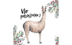 Paper + Design Serviettes En Papier No Probllama 33 Cm X 33 Cm, 20 Pièce/s - Serviettes