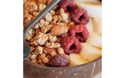 Tatavola Coupe Noix De Coco 1 Pièce/s, Brun Foncé - Bol -Paderno Shop unnamed file 4469