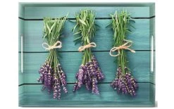 Emsa Plateau De Service Classic Lavender Vert - Plateau De Service