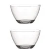 Leonardo Bol Active 22 Cm, 2 Pièce/s, Transparent - Bol -Paderno Shop unnamed file 5136