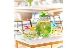 Zeller Present Distributeur à Boissons Ananas, 4,5 Litres - Distributeur De Nourriture -Paderno Shop unnamed file 5209