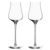 Leonardo Verre à Grappa Brunelli 210 Ml, 2 Pièce/s, Transparent - Verres à Schnaps Et à Liqueur -Paderno Shop unnamed file 675